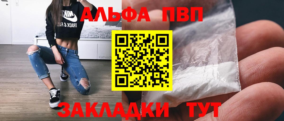 Alfa_PVP СК КРИС Балтийск