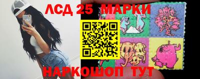 тгк Новокубанск