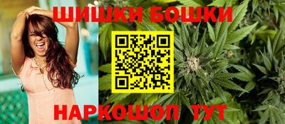 прущие грибы Новозыбков