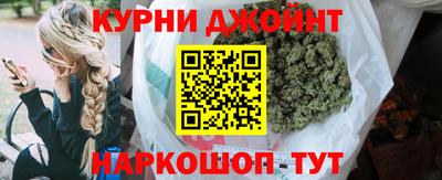 прущие грибы Новозыбков