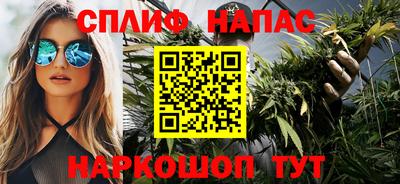 прущие грибы Новозыбков
