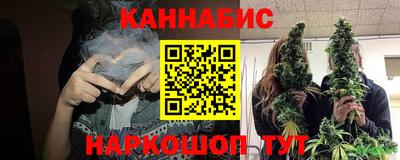 прущие грибы Новозыбков