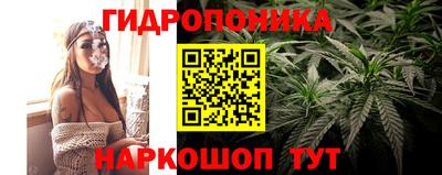 тгк Новокубанск