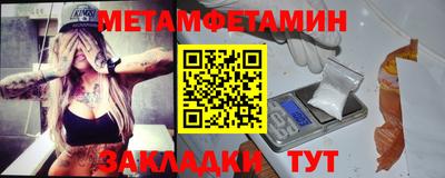 прущие грибы Новозыбков