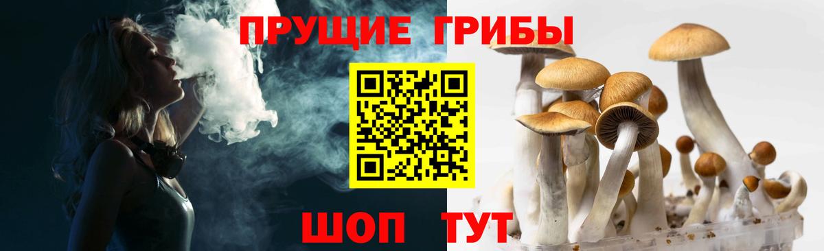 Псилоцибиновые грибы прущие грибы  Псилоцибиновые грибы Psilocybe  Вход с VPN  цена наркотик  Балтийск 